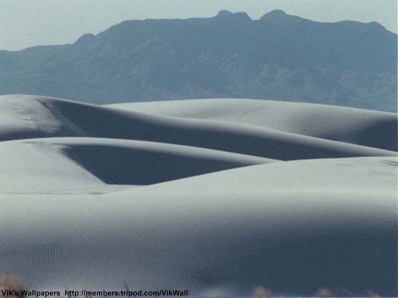 dune.jpg
