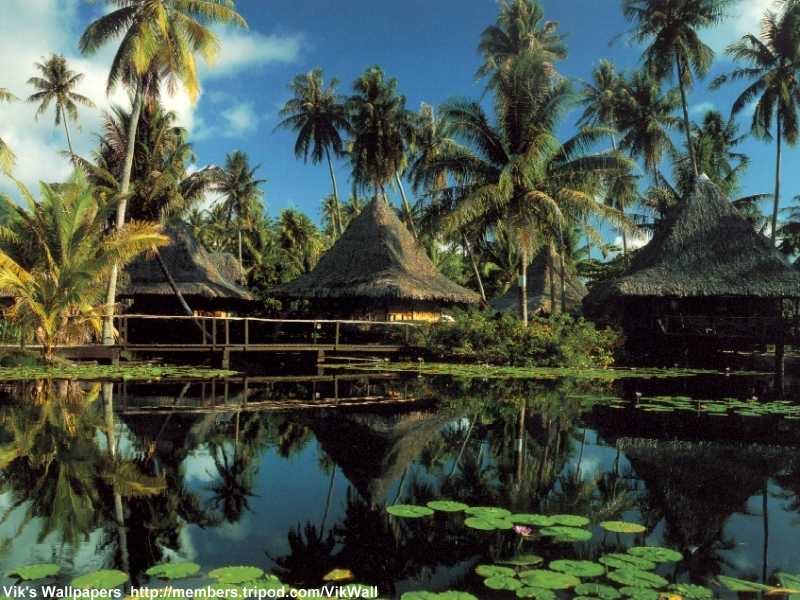 polynesie.jpg