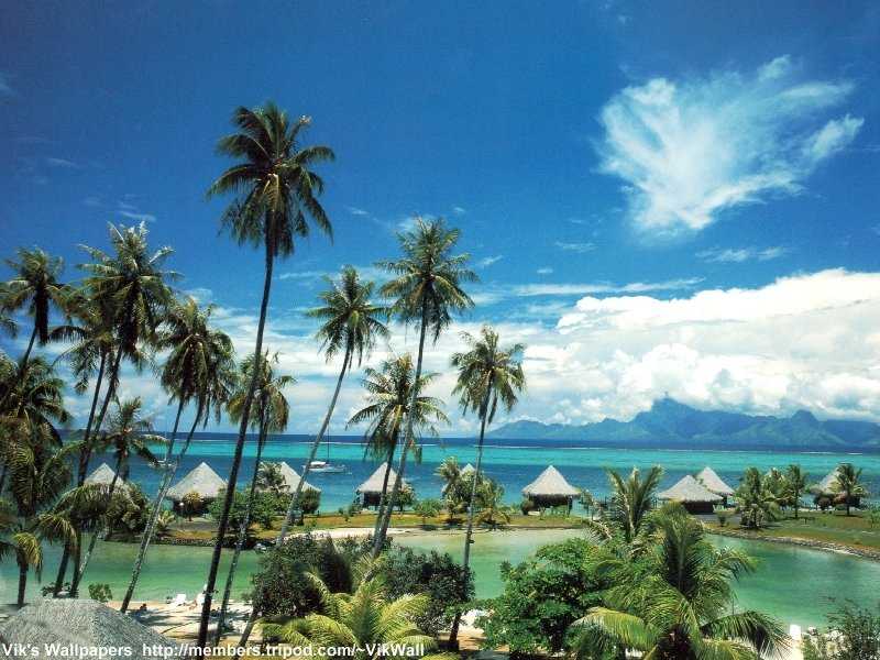 tahiti.jpg