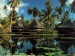 polynesie.jpg